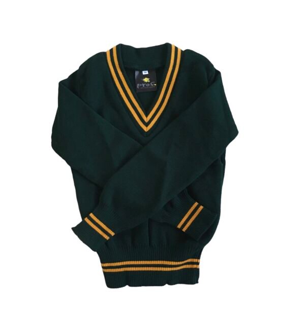 green and gold school jersey unisex