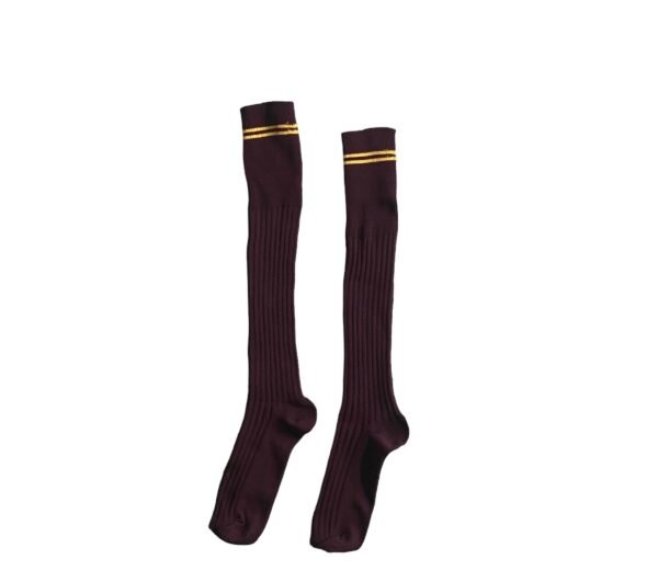 Prof School Long Socks in Maroon and Gold stripes