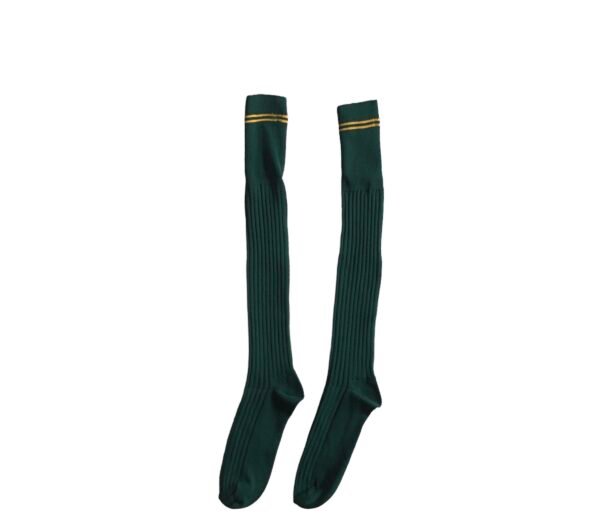 Prof School Long Socks in Green and Gold stripes