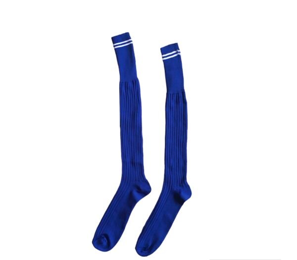 Prof School Long Socks in Royal and White stripes