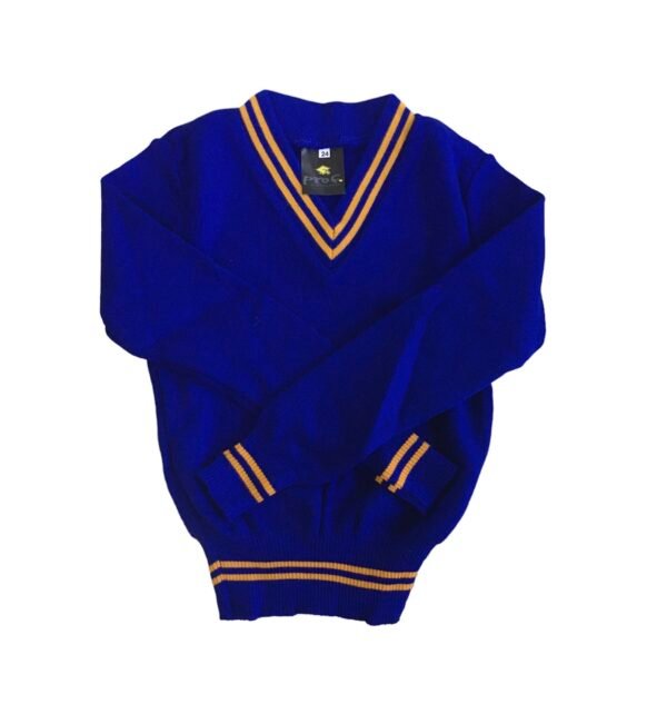 royal and gold school jersey unisex