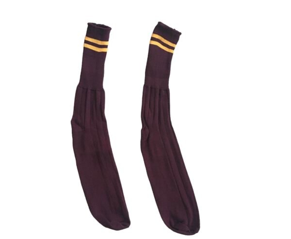 Prof Ankle School Socks: Maroon and Gold Striped