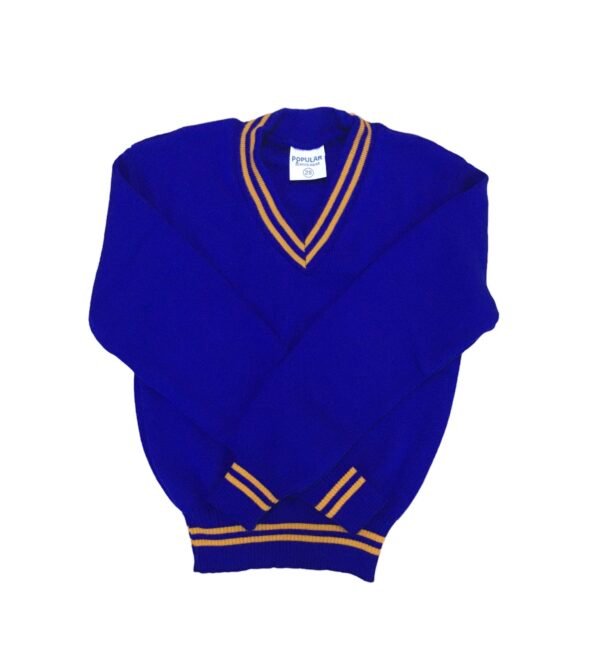 royal and gold school jersey unisex cheap price