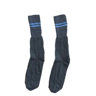 Prof Ankle School Socks: Grey and Sky Striped