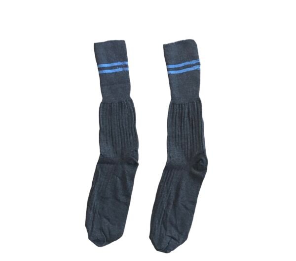 Prof Ankle School Socks: Grey and Sky Striped