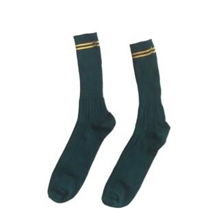 Prof Ankle School Socks: Green and Gold Striped