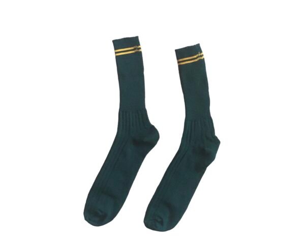 Prof Ankle School Socks: Green and Gold Striped