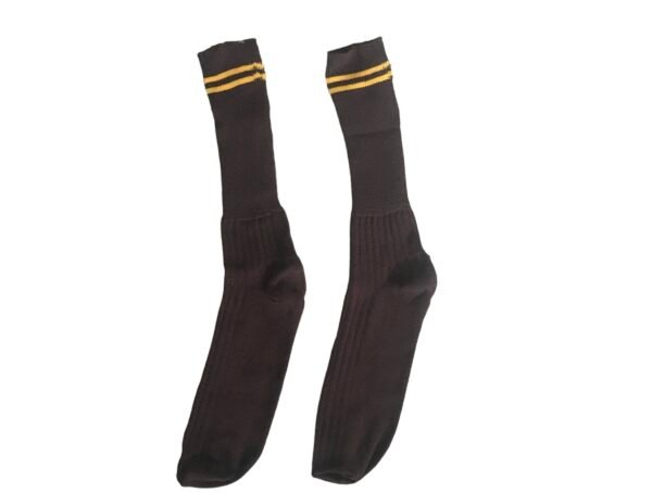 Prof Ankle School Socks: Brown and Gold Striped