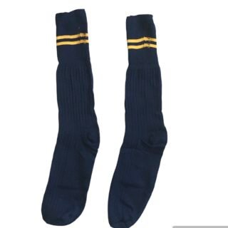 Prof Ankle School Socks: Navy and Gold Striped