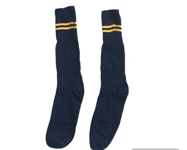 Prof Ankle School Socks: Navy and Gold Striped