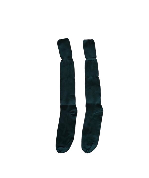 Prof plain Green long school socks