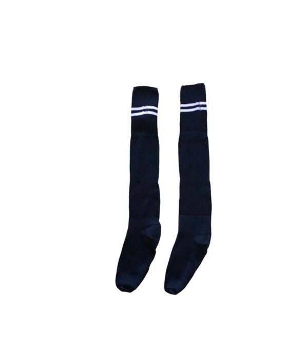 Prof School Long Socks in Navy and White stripes