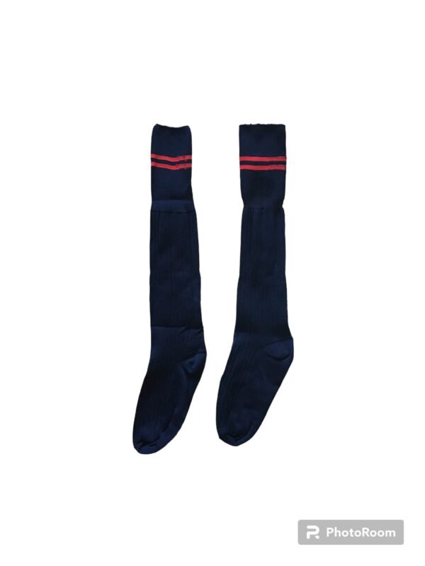 Prof School Long Socks in Navy and Red stripes