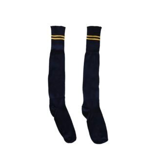 Prof Long School Socks: Navy and Gold Striped