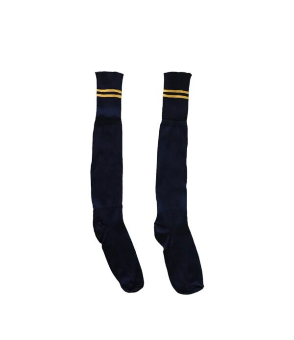 Prof Long School Socks: Navy and Gold Striped