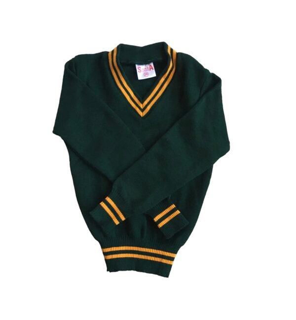 green and gold school jersey cheap price unisex