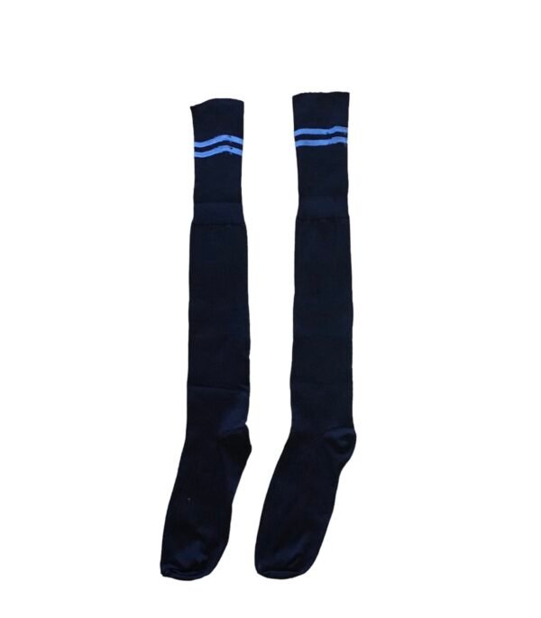 Prof School Long Socks in Navy and Sky