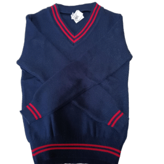Genius Navy and Red Striped Jersey - Unisex