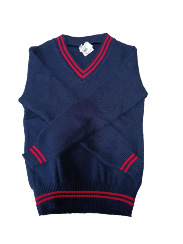 Genius Navy and Red Striped Jersey - Unisex
