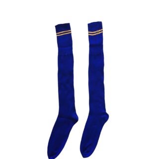 Prof School Long Socks in Royal and Gold stripes