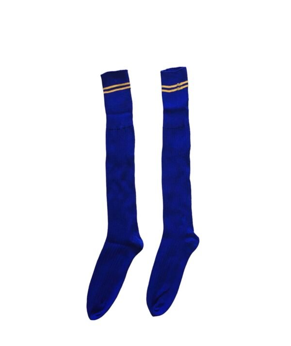 Prof School Long Socks in Royal and Gold stripes