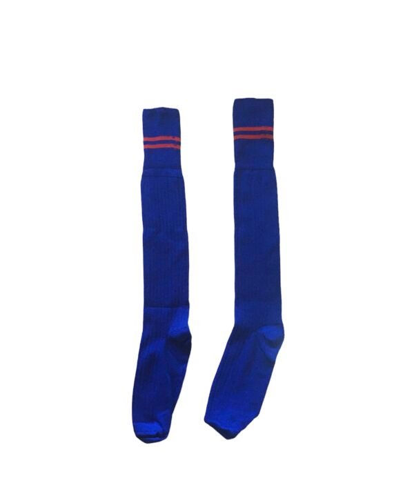 Prof Long School Socks: Royal and Red Striped