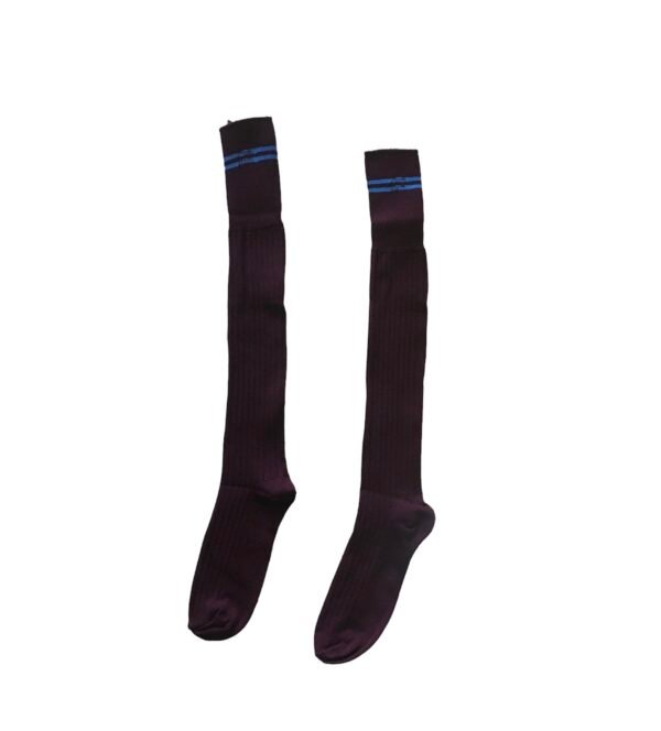 Prof School Long Socks in Maroon and Sky stripes