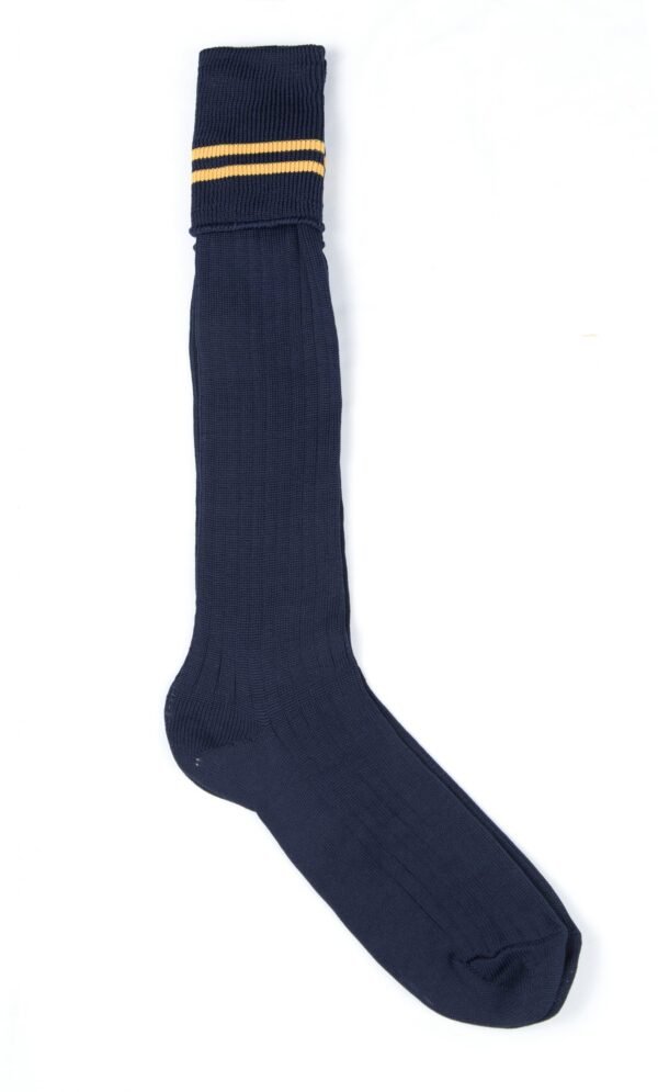Prof Long School Socks: Navy and Gold Striped