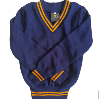 navy and gold school jersey school jersey unisex