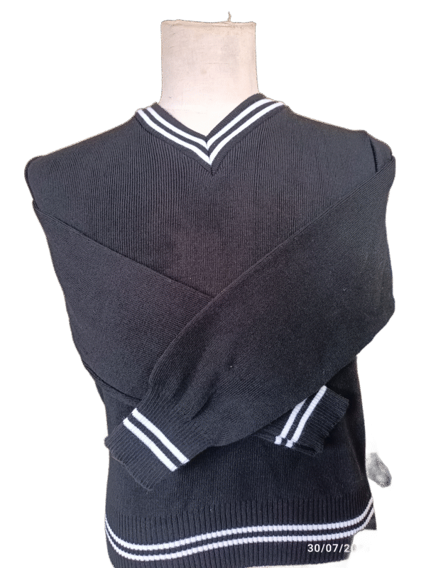 Genius Black and White Striped Jersey - Unisex