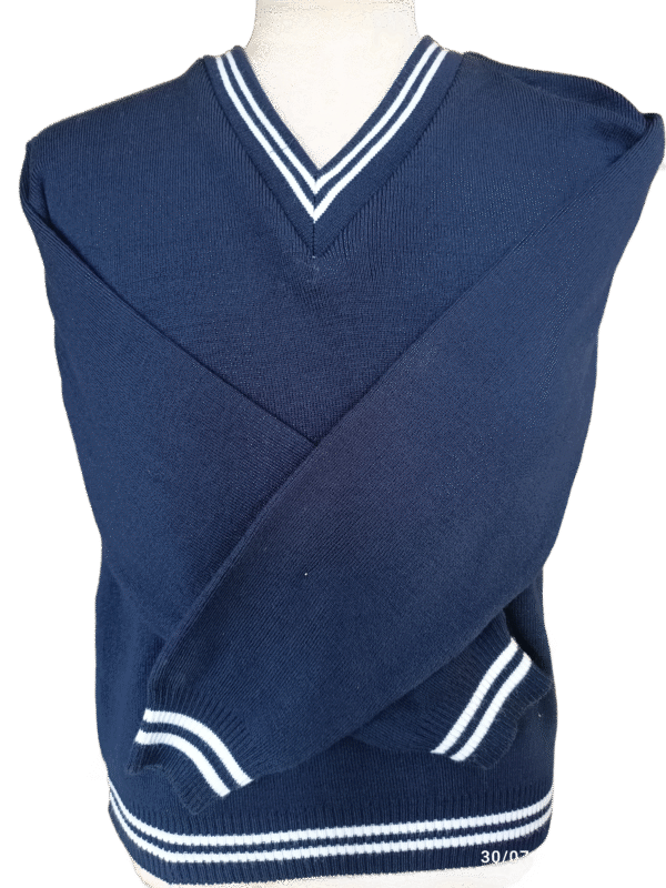 Genius Navy and White Striped Jersey - Unisex