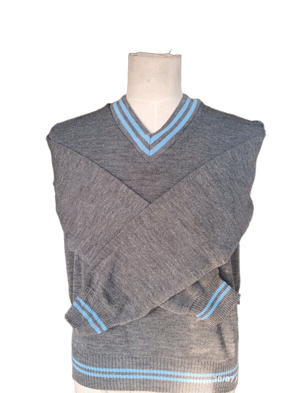 Genius Grey and Sky Striped Long Sleeve School Jersey - Unisex