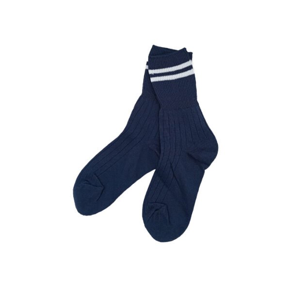Prof Long School Socks: Navy and White Striped