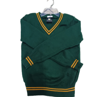 Prof Green And Gold Jersey