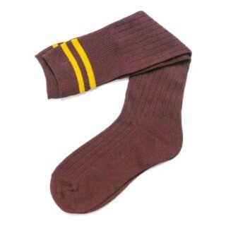 Prof Ankle School Socks: Maroon and Gold Striped