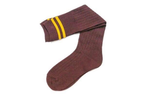 Prof Ankle School Socks: Maroon and Gold Striped