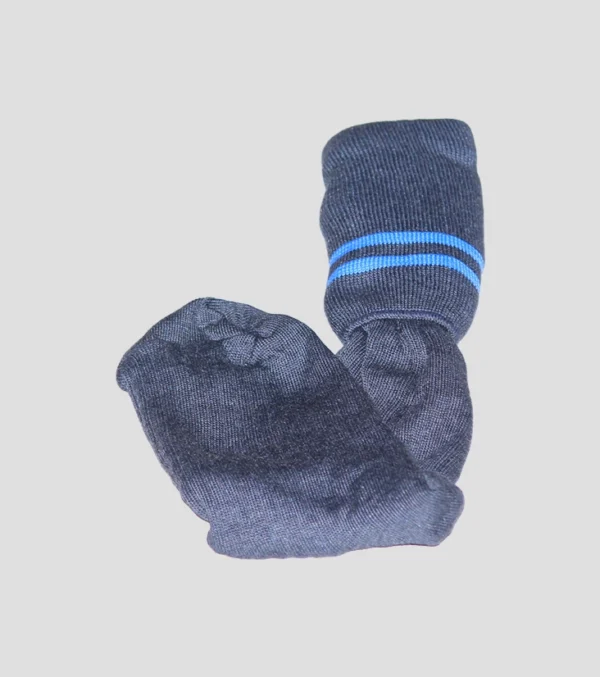 Grey And Sky blue long School Sock
