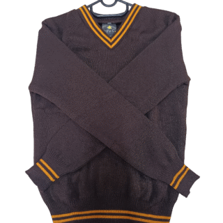 Prof Brown And Gold Striped Long Sleeve Jersey