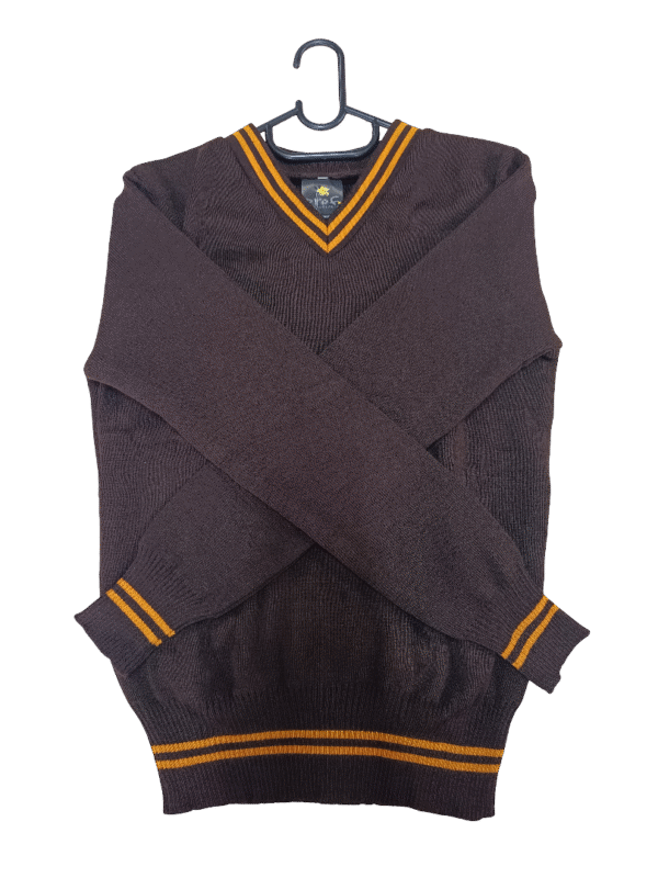 Prof Brown And Gold Striped Long Sleeve Jersey