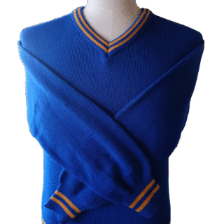 Genius Royal and Gold Striped Long Sleeve School Jersey - Unisex