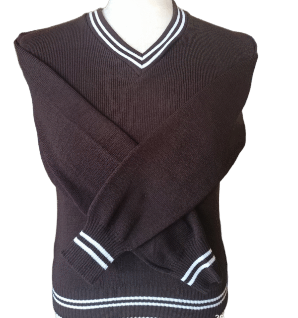 Genius Brown and White Striped Jersey - Unisex