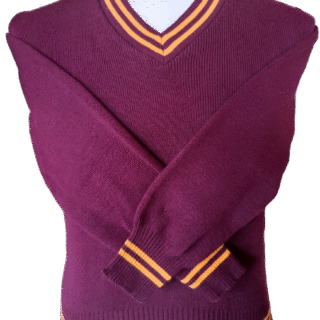 Genius Maroon and Gold Striped Long Sleeve Jersey - Unisex