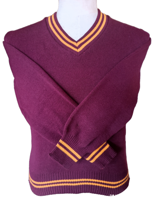 Genius Maroon and Gold Striped Long Sleeve Jersey - Unisex