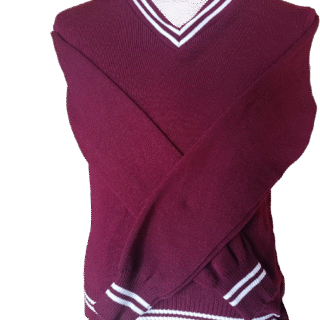 Genius Maroon and White Striped Jersey - Unisex