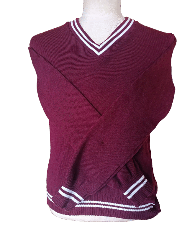 Genius Maroon and White Striped Jersey - Unisex