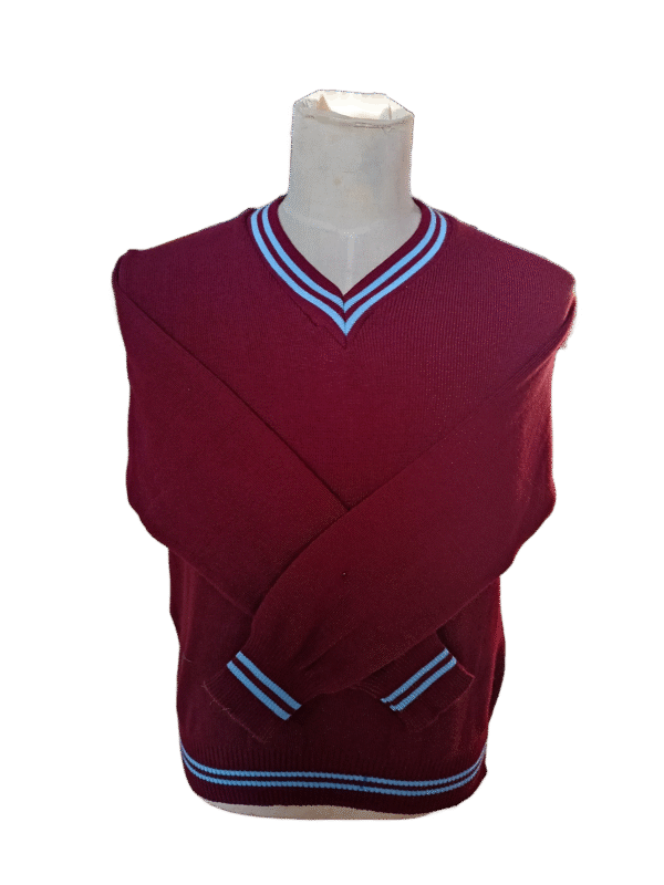 Genius Maroon and Sky Striped Long Sleeve School Jersey - Unisex