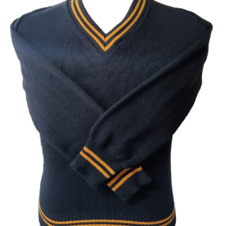 Genius Black and Gold Striped Long Sleeve School Jersey - Unisex