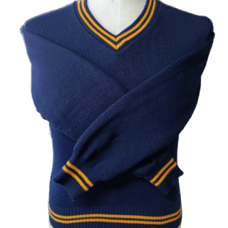 Genius Navy And Gold