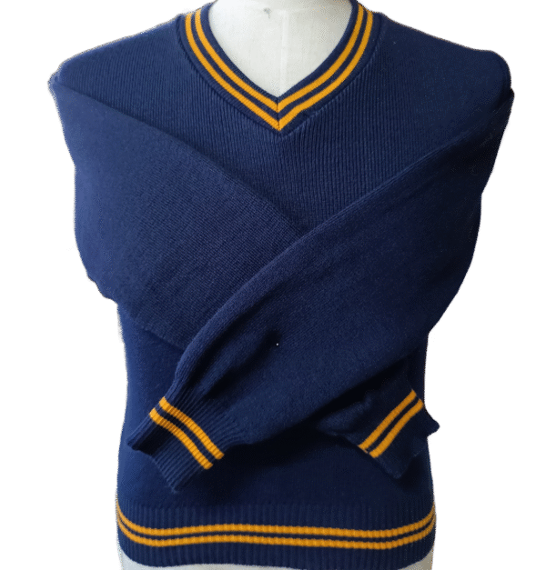 Genius Navy And Gold