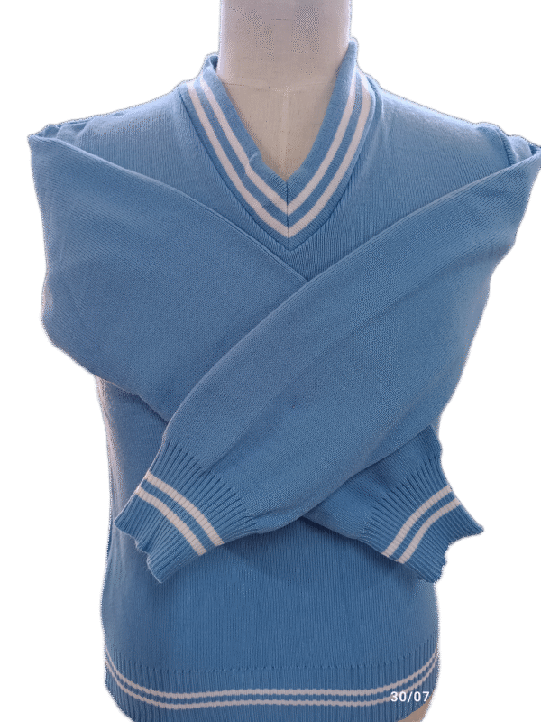 Genius Sky and White Striped Long Sleeve School Jersey - Unisex